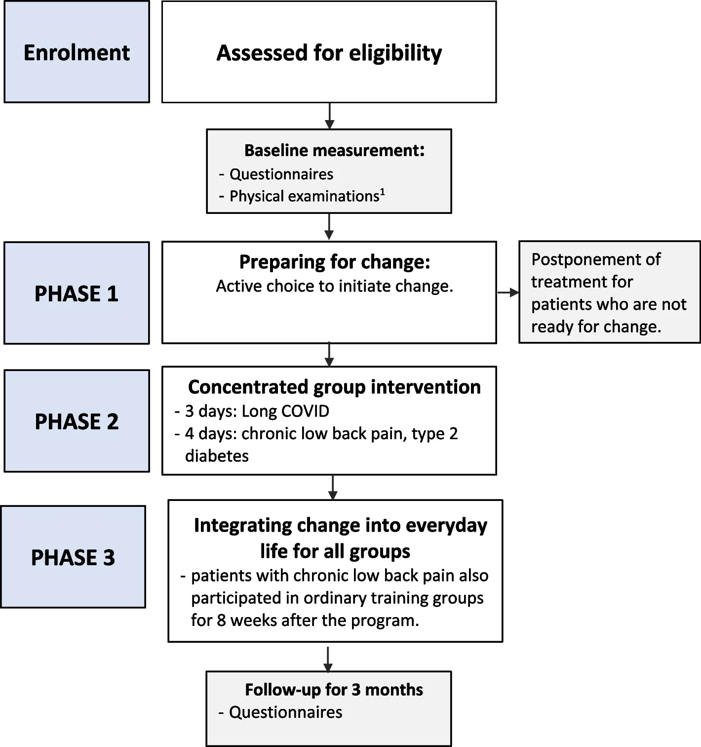 Open access visualization of Workflow, Flowchart, Study Flowchart, Physical Exercise, Treatment Groups
