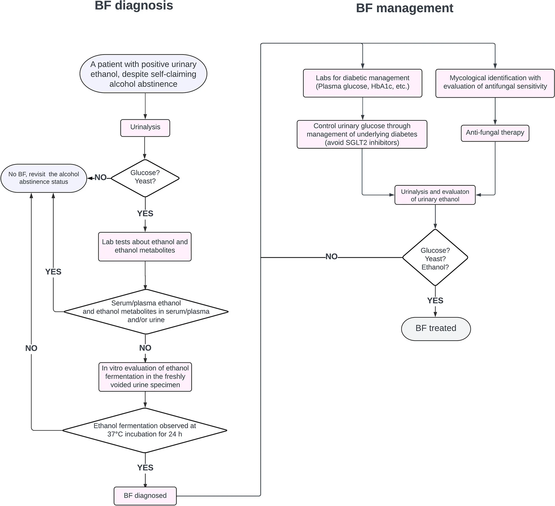 Open access visualization of Workflow, Flowchart, Bladder Fermentation Syndrome, Diagnostic Testing, Management