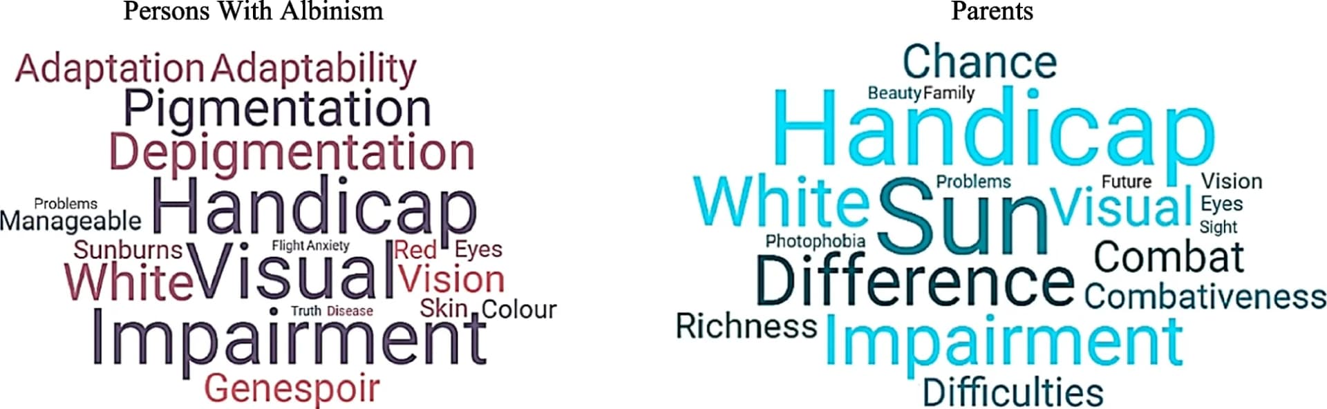 Open access visualization of Word Cloud, Albinism, Perceptions, People With Albinism, Parents