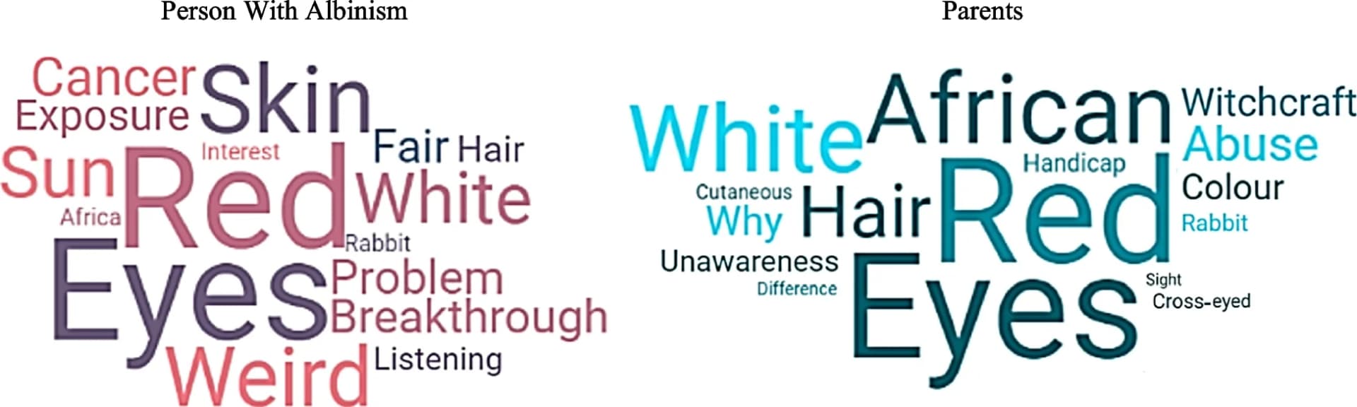 Open access visualization of Word Cloud, Albinism, Persons with Albinism, Parents, Societal Representation