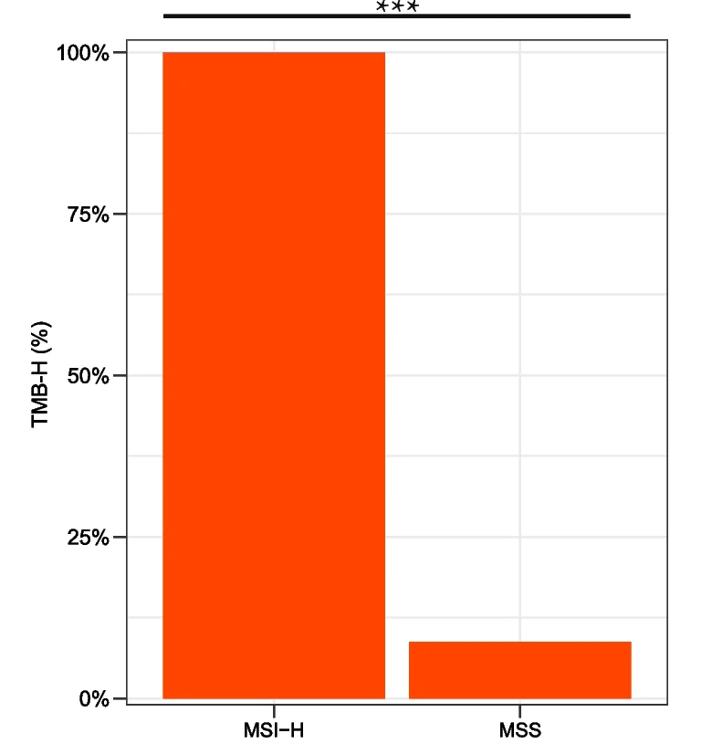 Open access visualization of Bar Plot, Microsatellite Instability-High, Microsatellite Stability, Tumor Mutation Burden-High
