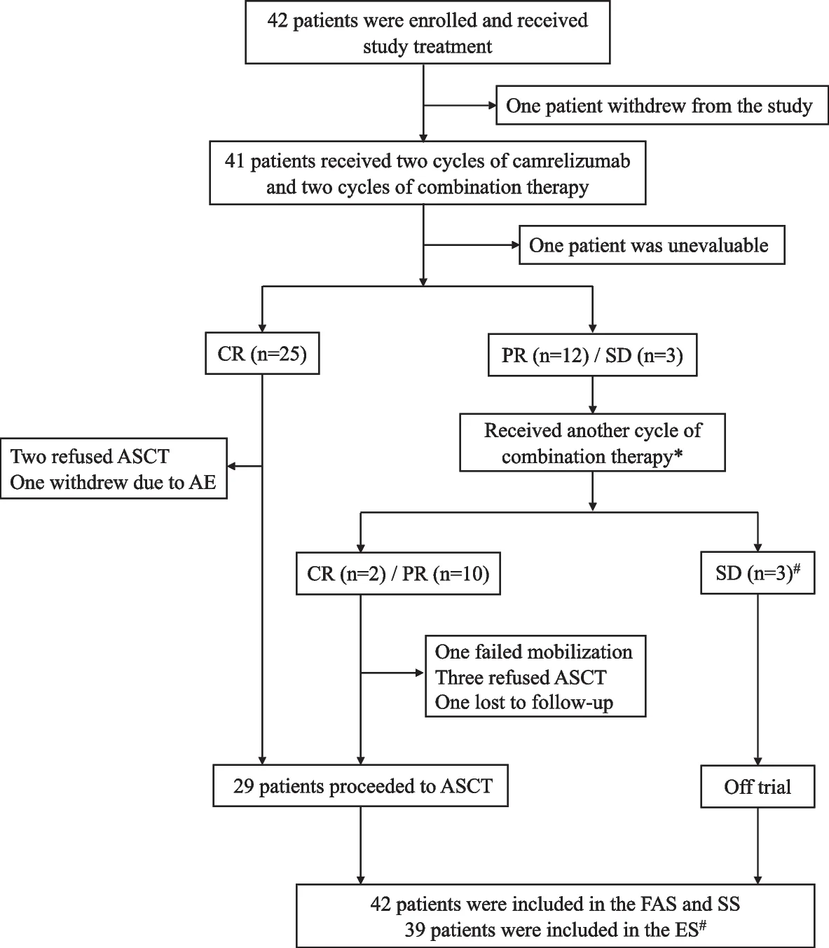 Open access visualization of Workflow, Flowchart, Patient Flowchart, COVID-19, Diffuse Large B-Cell Lymphoma