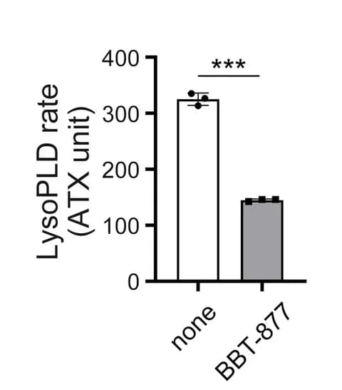 Open access visualization of Bar Plot, Error Bars, ATX Activity, VICs, Osteogenic Differentiation