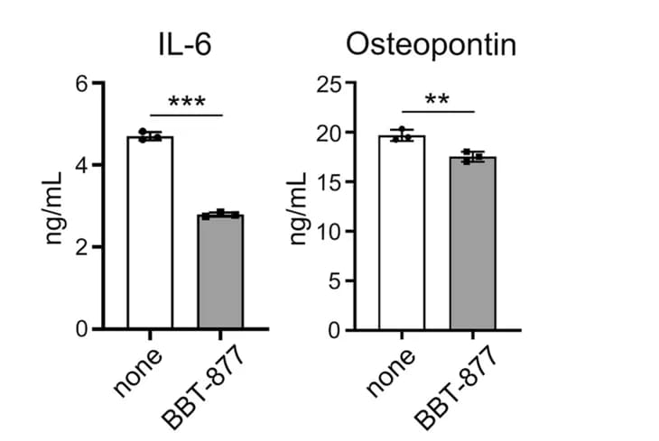 Open access visualization of Bar Plot, Error Bars, Cytokines, Osteogenesis, ELISA