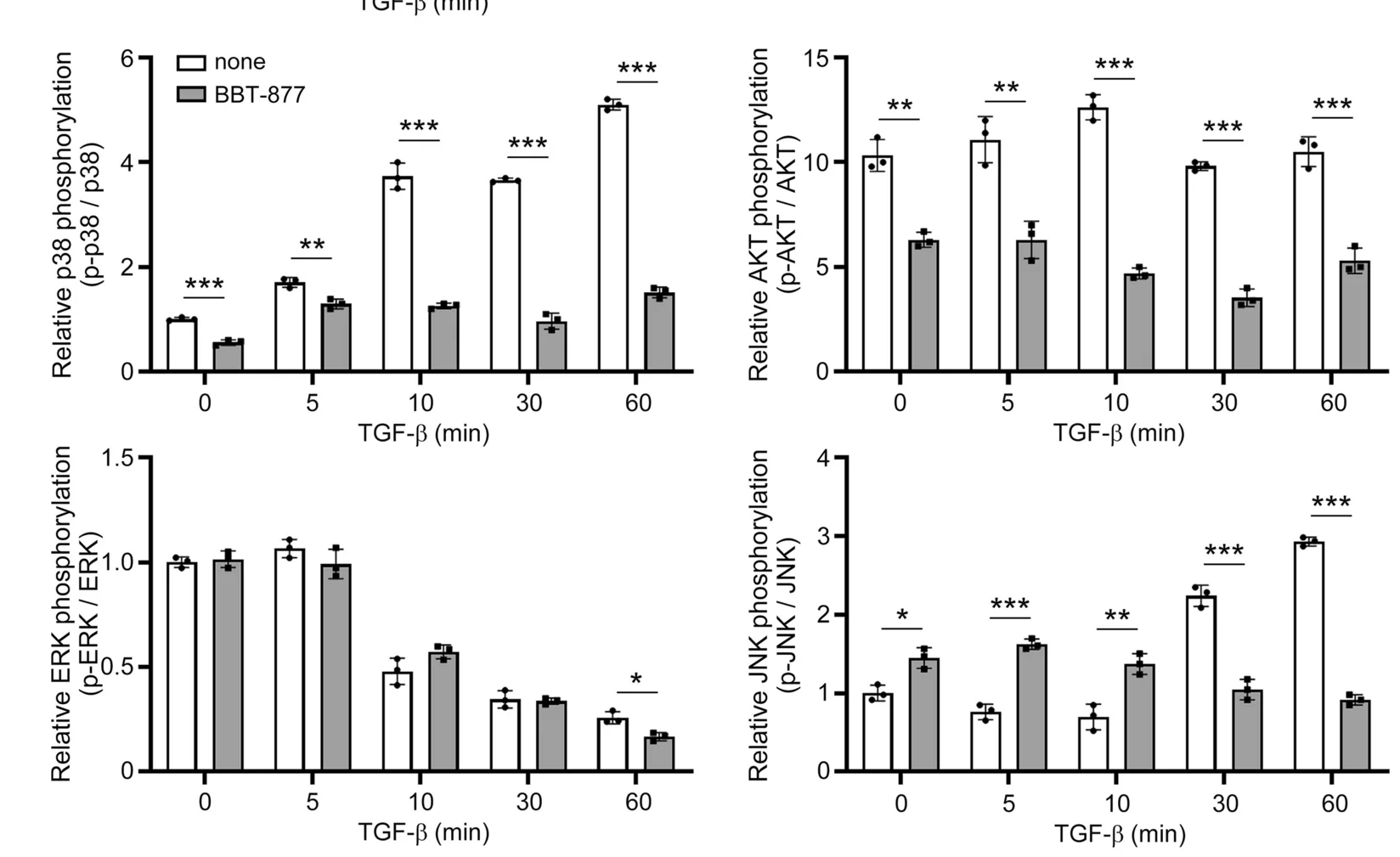 Open access visualization of Bar Plot, Error Bars, Clustered, Protein Levels, p-p38
