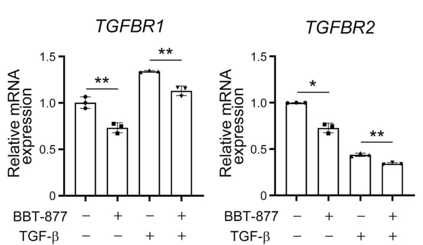 Open access visualization of Bar Plot, Error Bars, mRNA expression levels, TGF-β Receptor 1, TGFBR1
