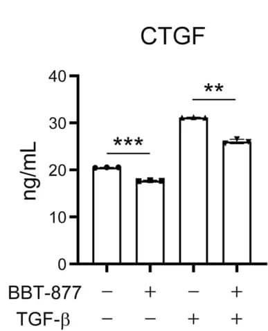Open access visualization of Bar Plot, Error Bars, CTGF, VICs, Conditioned Media