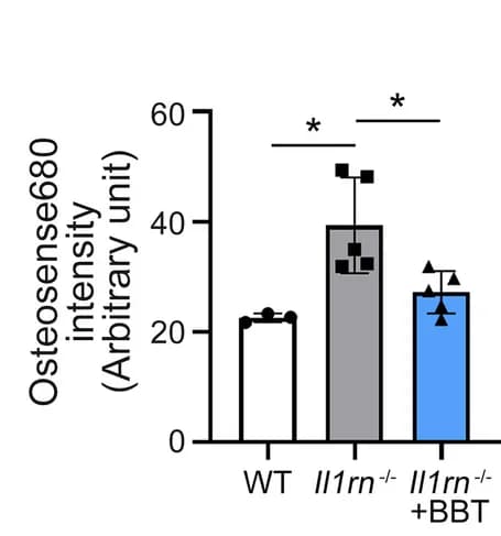Open access visualization of Bar Plot, Error Bars, Fluorescence Intensity, Mice