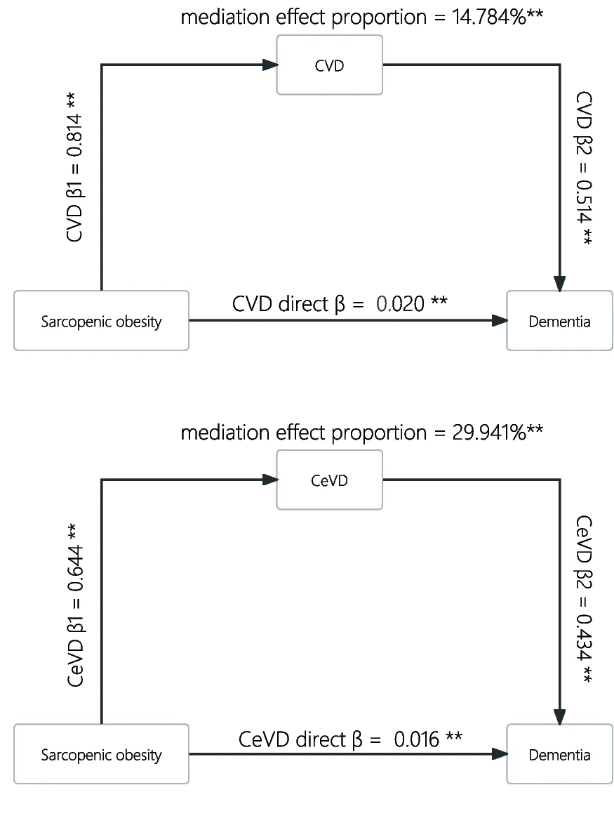Open access visualization of Workflow, Flowchart, CVD, CeVD, Diabetes