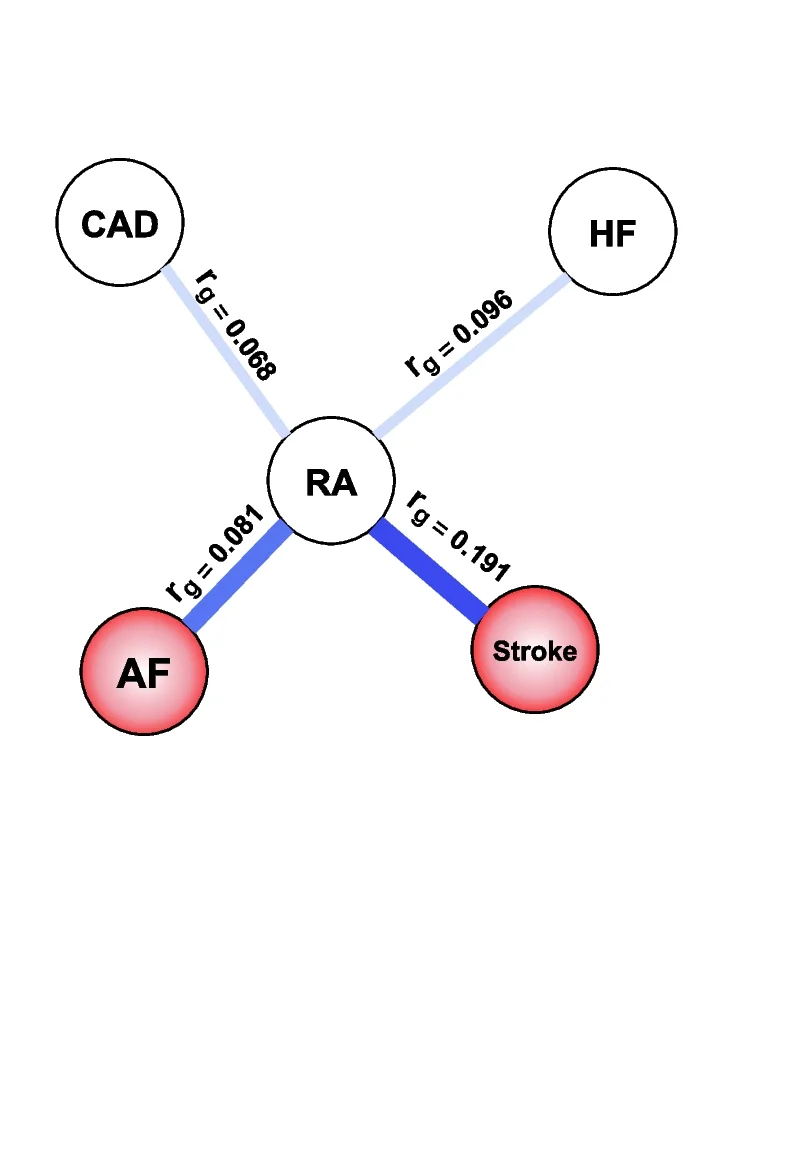 Open access visualization of Network, Pathway, Rheumatoid Arthritis, Cardiovascular Diseases, LDSC