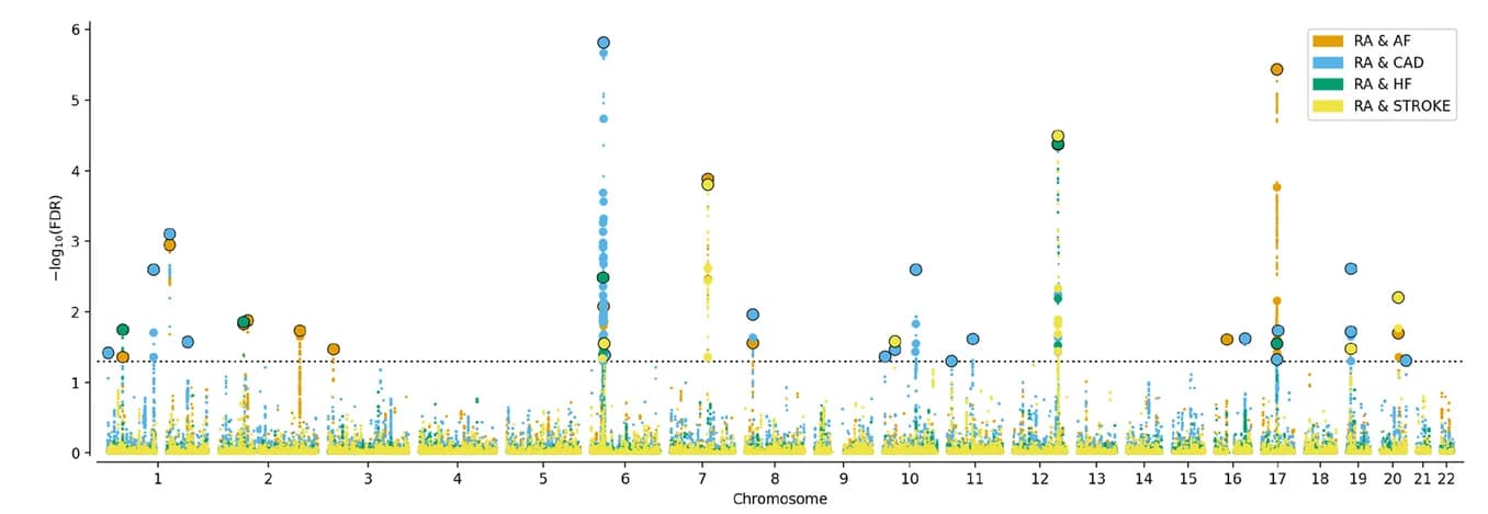 Open access visualization of Manhattan Plot, Scatter Plot, conjFDR, Genetic Variant, Genome