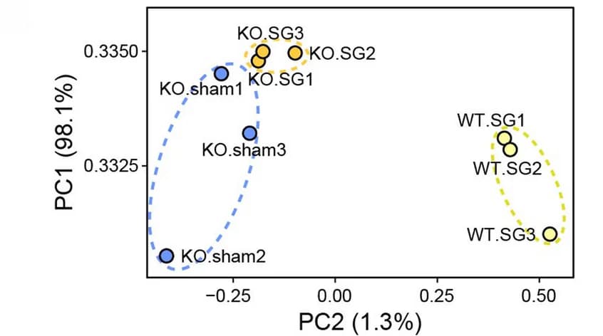 Open access visualization of Scatter Plot, PCA, Sample Clustering, DEGs
