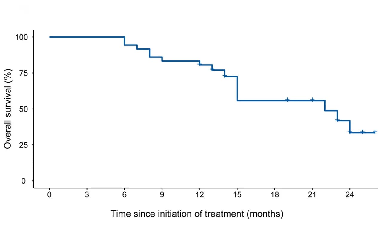 Open access visualization of Survival Curve, Line Step, Overall Survival, Kaplan-Meier Plots