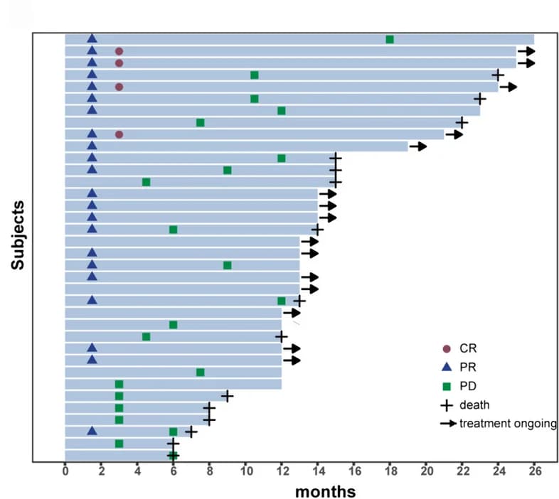 Open access visualization of Bar Plot, Scatter Plot, Tumor Dimension, Lesion