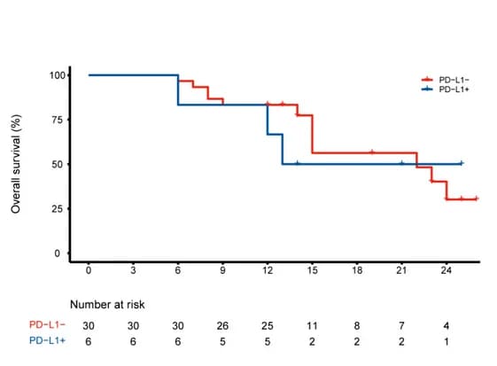 Open access visualization of Survival Curve, OS, PD-L1 Positive, PD-L1 Negative
