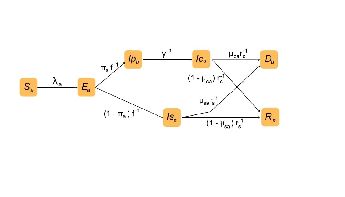 Open access visualization of Workflow, Flowchart, Age-Stratified SEIRD Model, IMD Decile, Geography