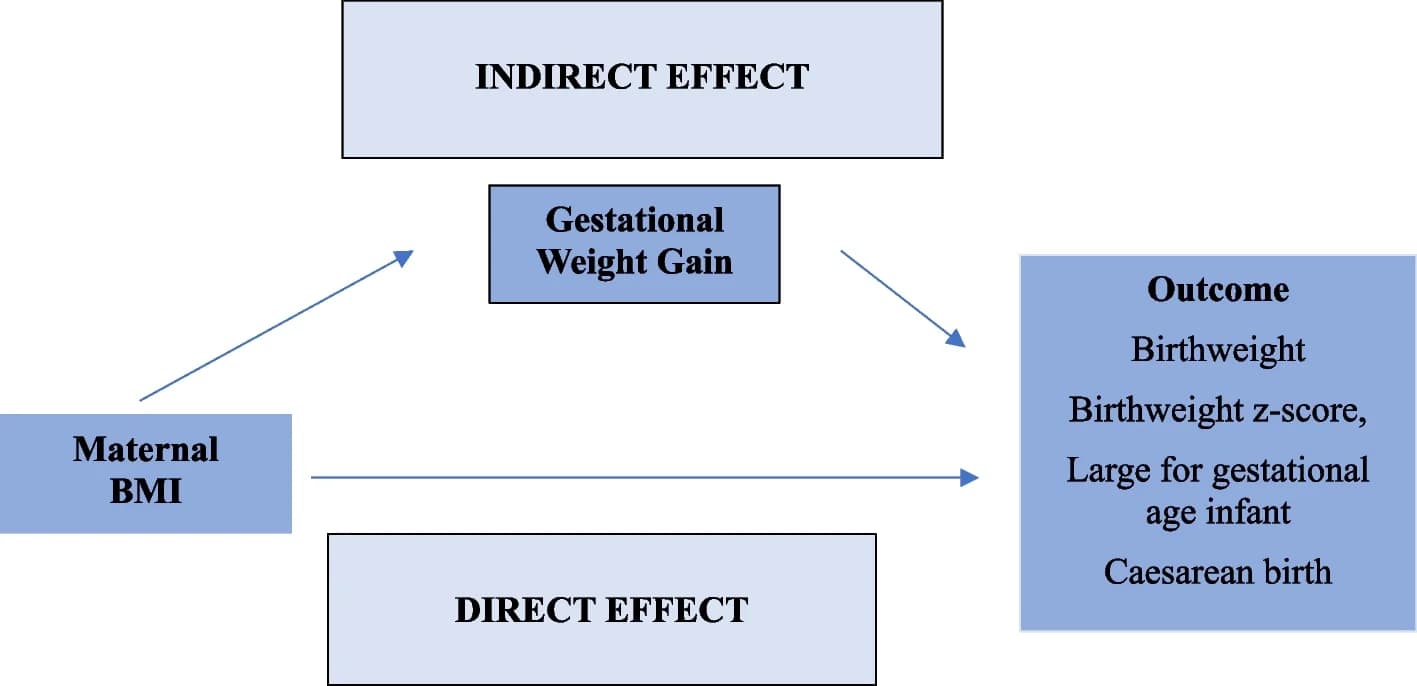 Open access visualization of Workflow, Flowchart, Illustration, Mediation Analysis, Birthweight