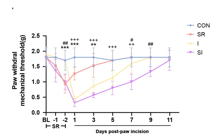 Open access visualization of Line Plot, Error Bars, PWMT, Mechanical Stimulation, Sleep Restriction