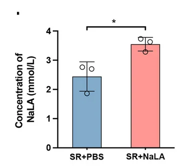 Open access visualization of Bar Plot, Error Bars, Spinal Cord, Colorimetry, NaLA concentration