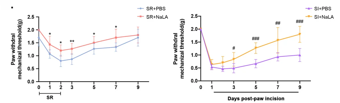 Open access visualization of Line Plot, Error Bars, PWMT, SR, Lactate Administration