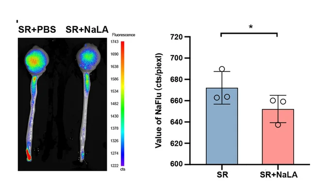 Open access visualization of Bar Plot, Error Bars, Photo, Microscopy, NaFlu distribution