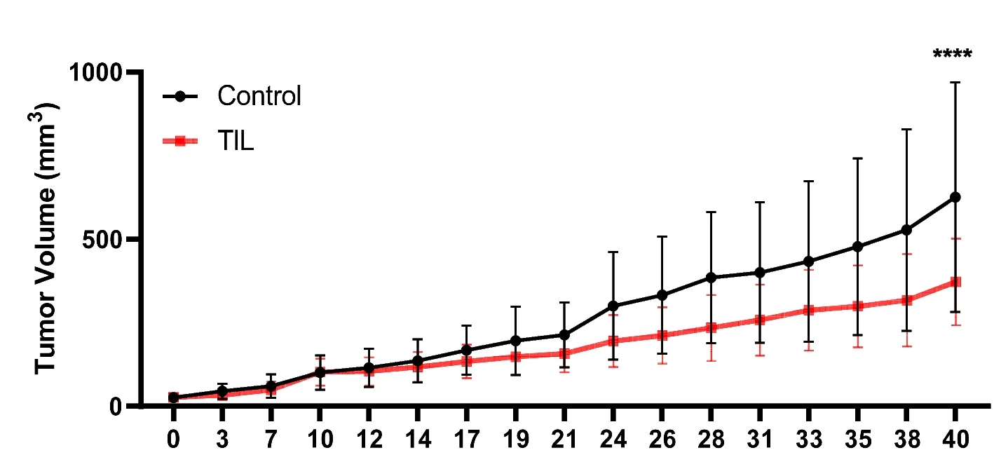 Open access visualization of Line Plot, Error Bars, PDX, Patient-Derived Xenografts, B-NDG Mice