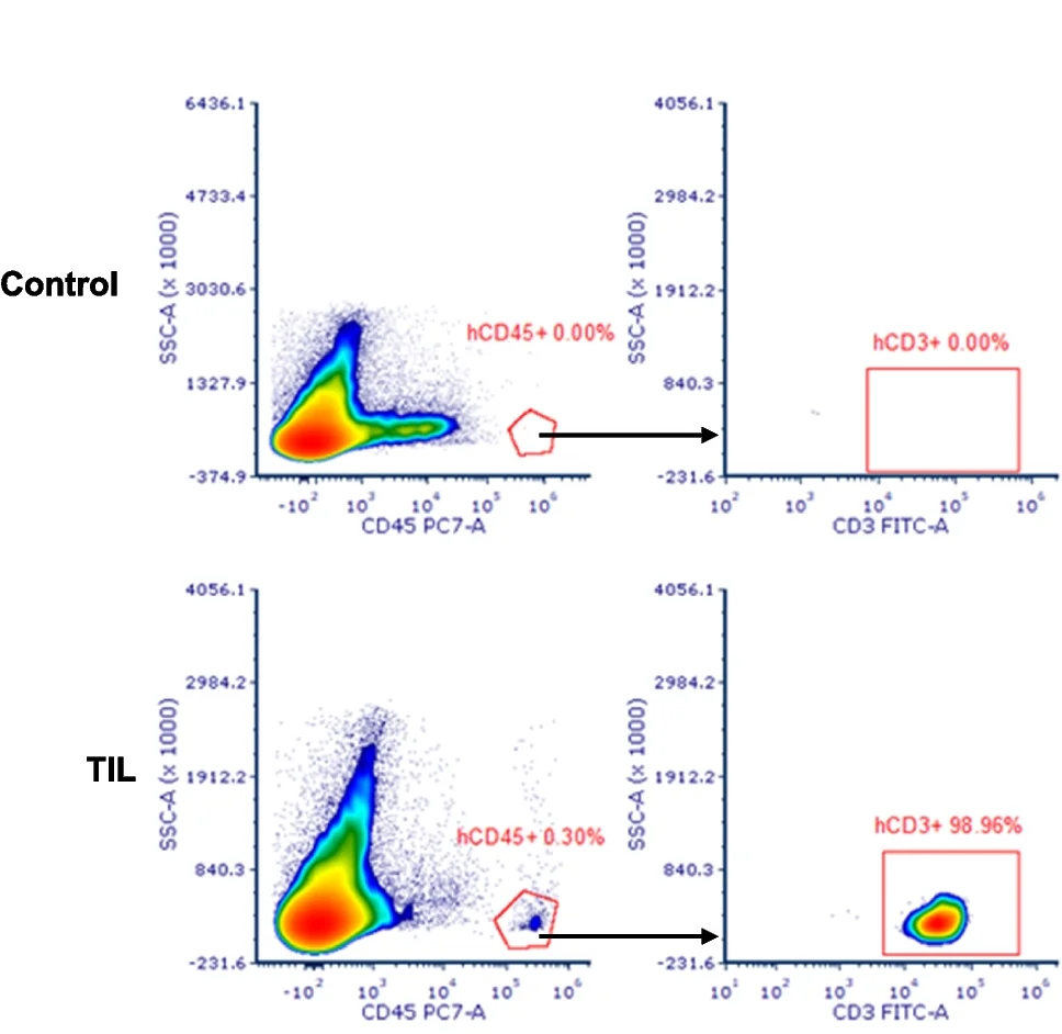 Open access visualization of Scatter Plot, PDX, Peripheral Blood, Flow Cytometry, Mice