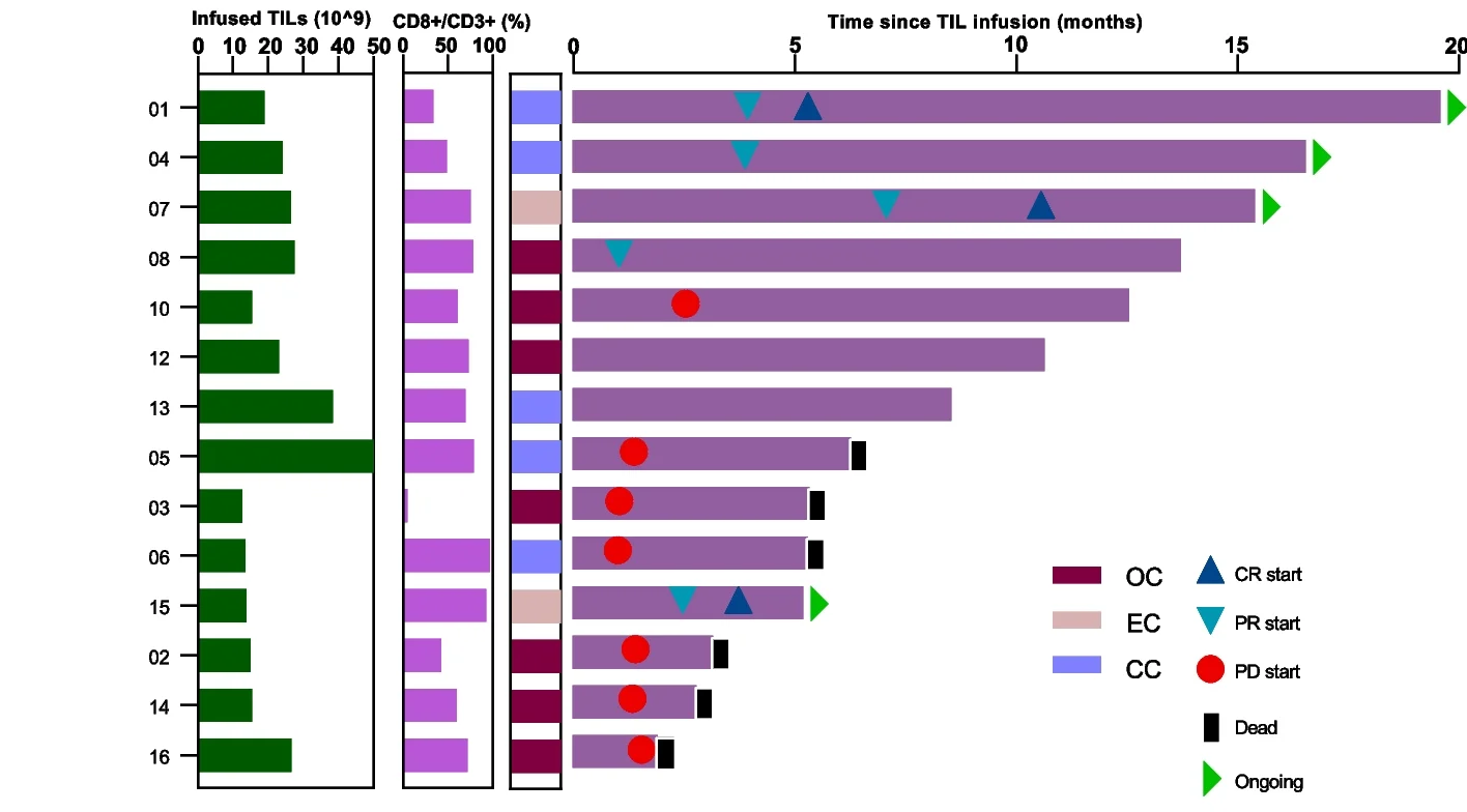 Open access visualization of Bar Plot, Stacked Bar Plot, Swimmer Plot, Treatment Duration, Complete Response