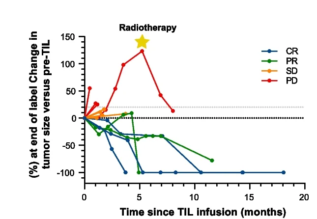 Open access visualization of Line Plot, Spider Plot, Target Lesions, Measurements