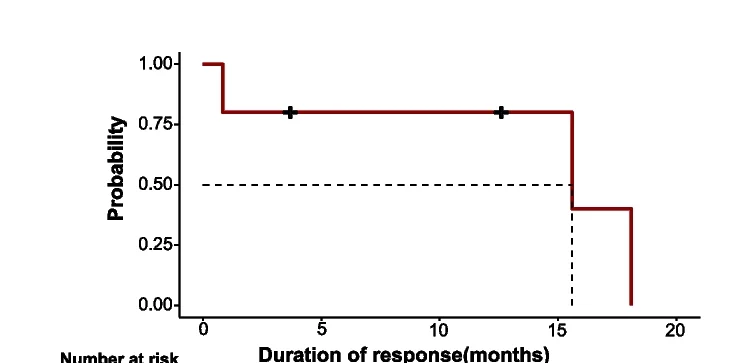 Open access visualization of Line Step, Survival Curve, KaplanMeier Curve, Duration of Response, Progression