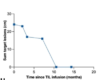 Open access visualization of Line Plot, Line Step, Radiographic Target Lesions, Endometrial Cancer, TILs