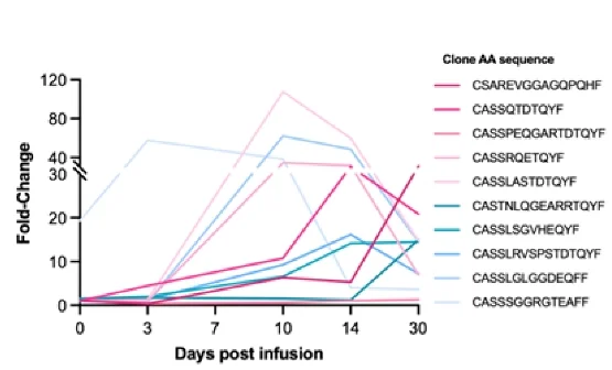 Open access visualization of Line Plot, TCR Clonotypes, TILs