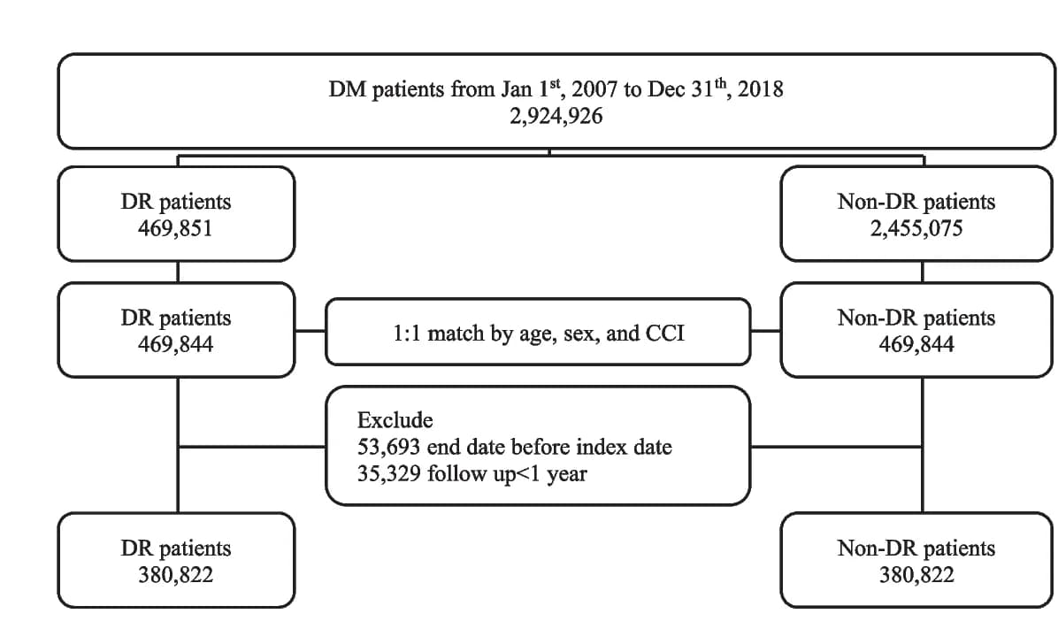 Open access visualization of Flowchart, Flow Chart, Stratification, Diabetes, Diabetic Retinopathy