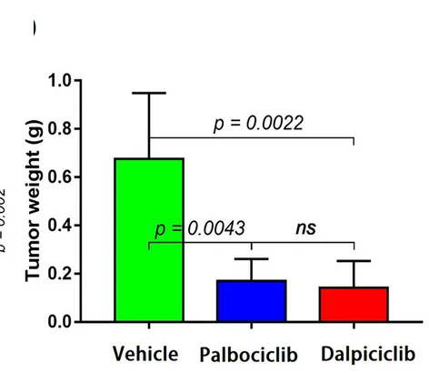 Open access visualization of Bar Plot, Error Bars, Tumor Weight, Palbociclib, Dalpiciclib