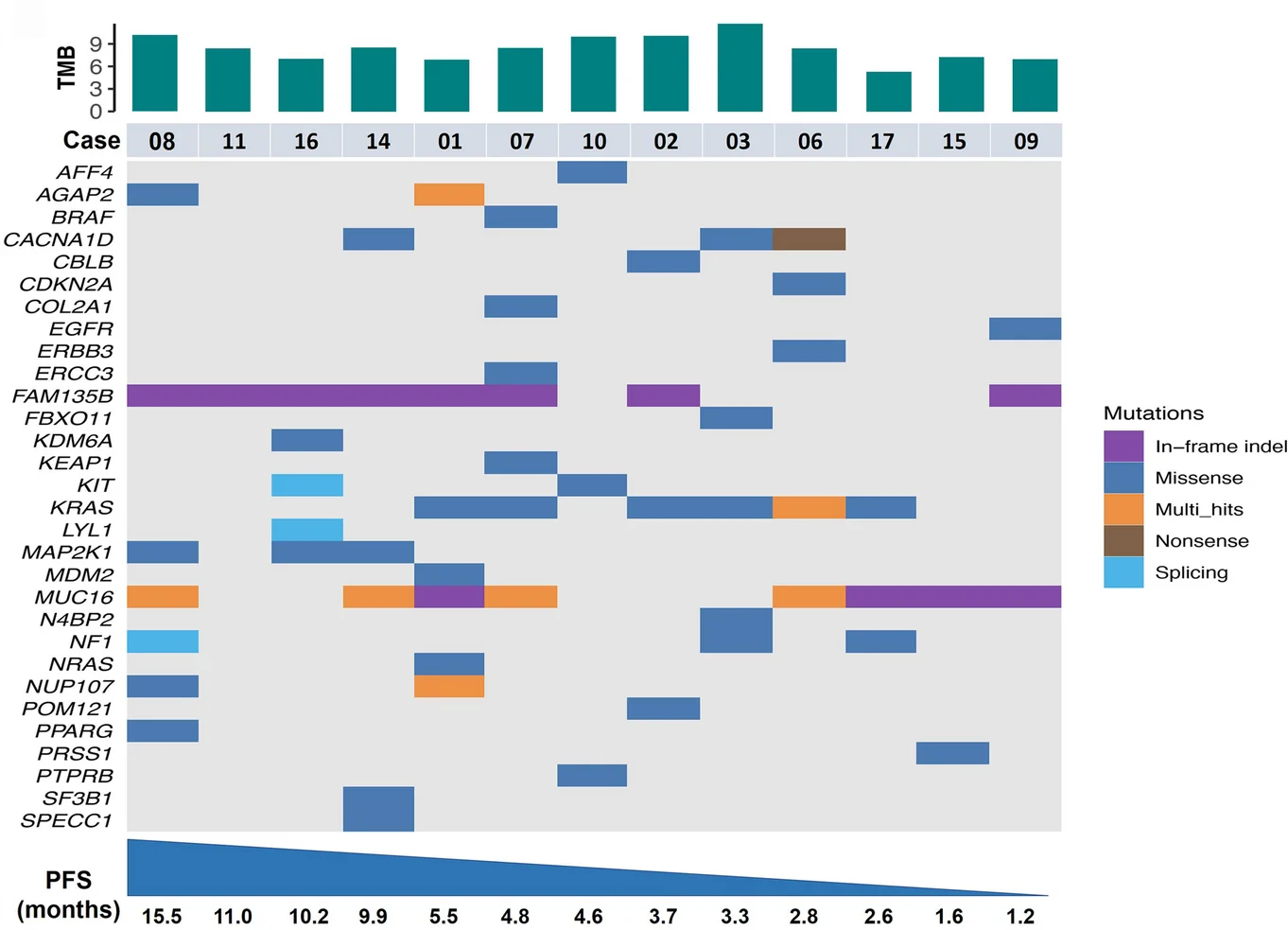 Open access visualization of Bar Plot, Line Plot, Tumor Mutational Burden, TMB, Tumor Sample