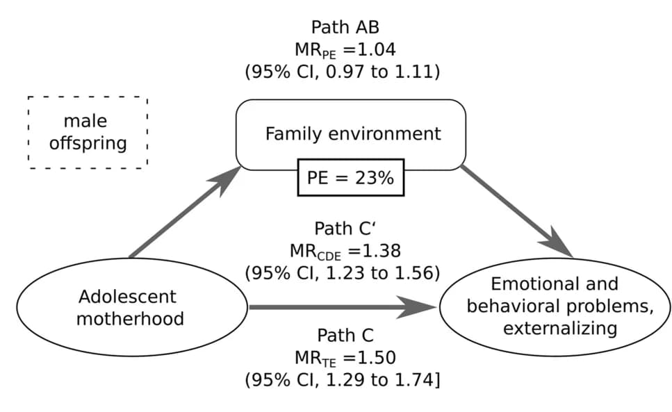 Open access visualization of Workflow, Flowchart, Family Environment, Adolescent Motherhood, Externalizing Problems