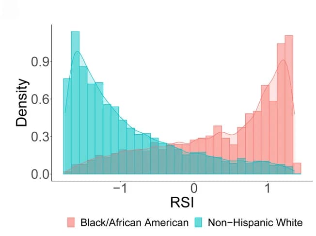 Open access visualization of Histogram, Density Plot, Residential Segregation Index, Black/African American, Non-Hispanic White