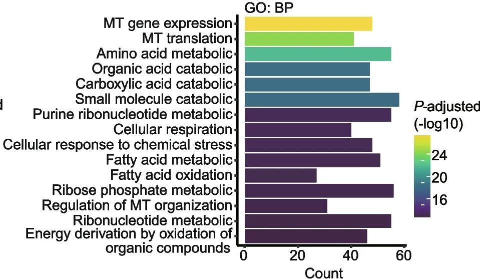 Open access visualization of Bar Plot, Biological Process, Gene Ontology, PTVs, Liver-related Biomarkers