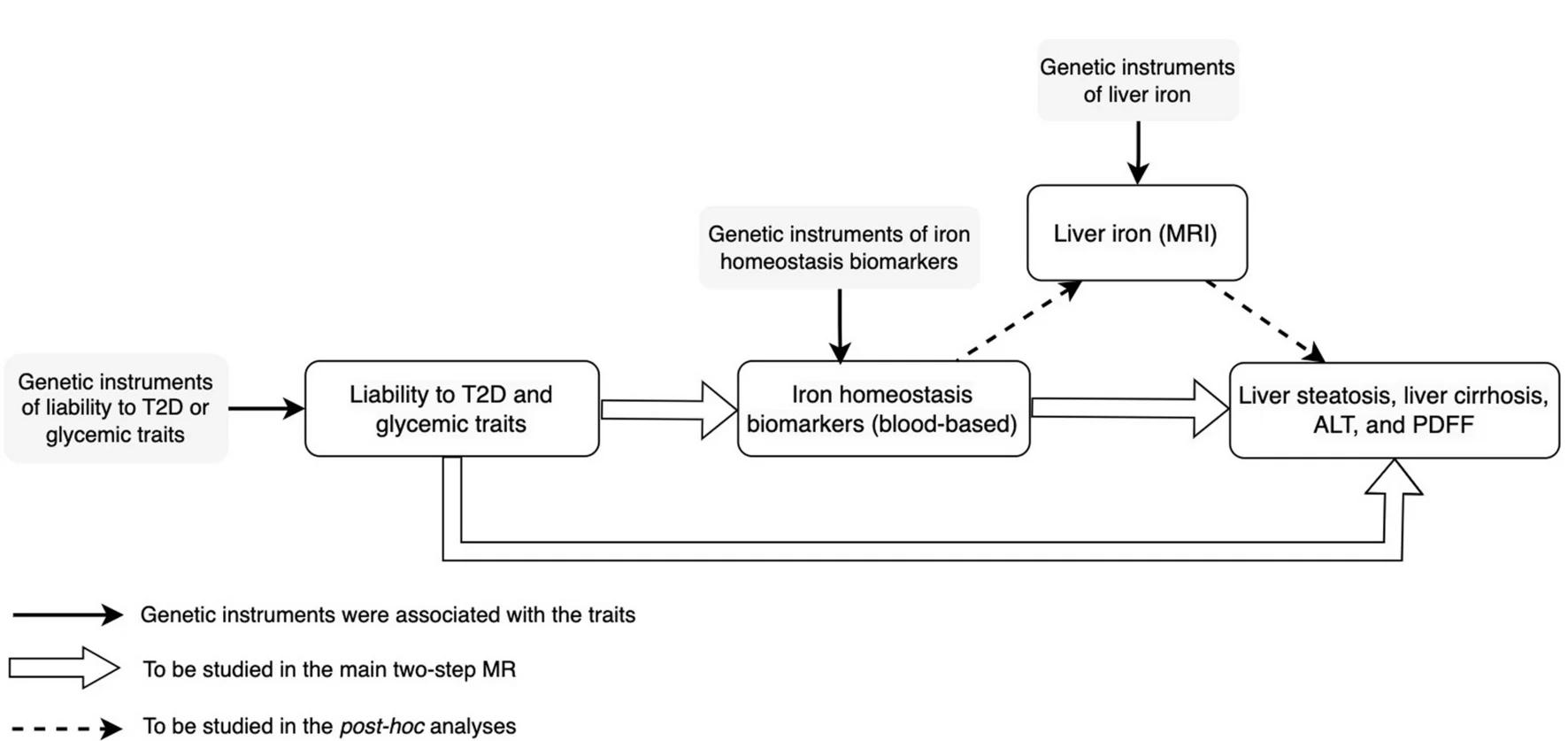 Open access visualization of Workflow, Flowchart, Mendelian Randomization, Type 2 Diabetes, Fasting Glucose