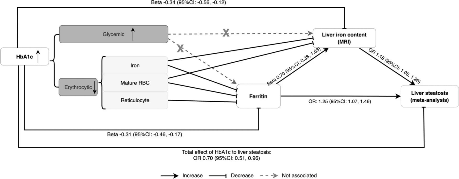 Open access visualization of Workflow, Flowchart, Hemoglobin A1c, Liver Iron Content, Liver Steatosis