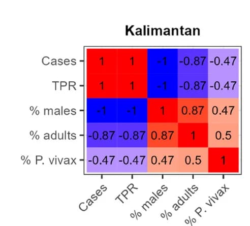 Open access visualization of Heatmap, Spearman's Rank Correlation, Malaria Metrics, GAM, Kalimantan