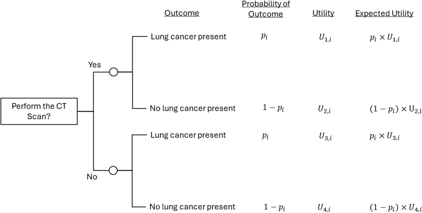 Open access visualization of Workflow, Flowchart, CT Scan, Lung Cancer, Diagnosis