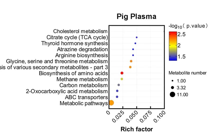 Open access visualization of Scatter Plot, Bubble Plot, Volcano Plot, Metabolomic Profiling, Hippocampus
