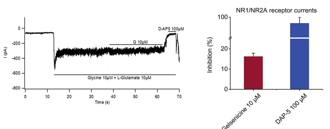 Open access visualization of Bar Plot, Error Bars, Line Plot, Gelsenicine, GluN1/GluN2A Receptor Currents