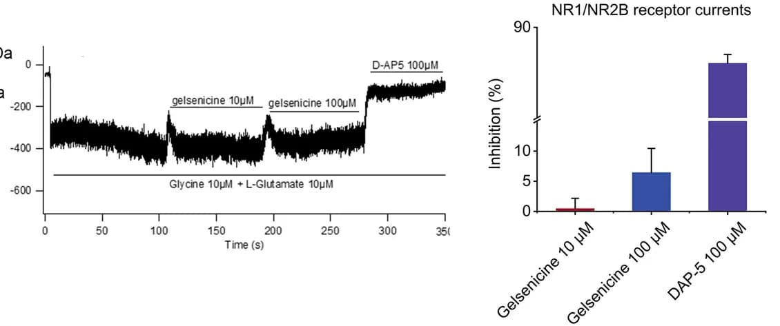 Open access visualization of Line Plot, Bar Plot, Error Bars, Gelsenicine, GluN1/GluN2B Receptor Currents