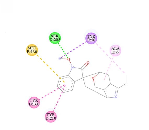 Open access visualization of Chemical Structure, 2D Diagram, Binding Mode, Gelsenicine, Human