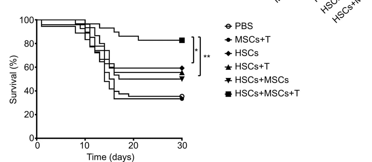 Open access visualization of Line Plot, Line Step, Survival Curve, Survival Curves, NOD/SCID Mice