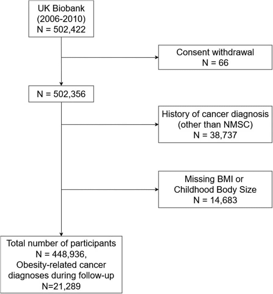 Open access visualization of Workflow, Flowchart, Study Population