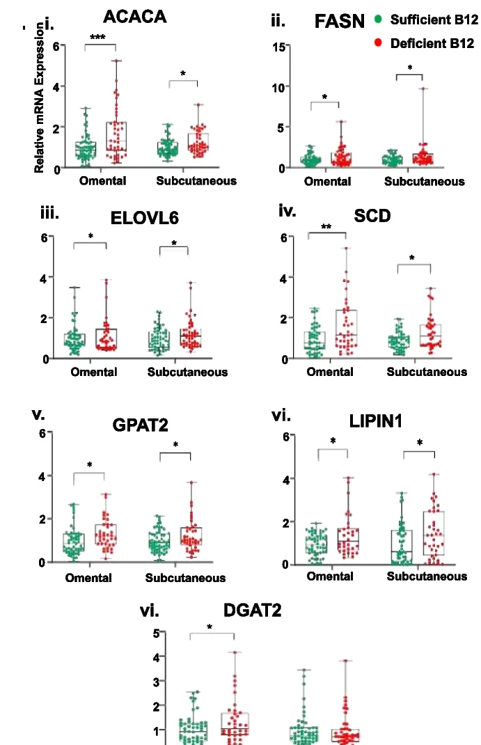 Open access visualization of Box Plot, Scatter Plot, FA Synthesis, Gene Expression, RT-qPCR