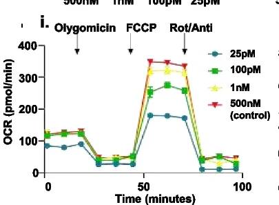 Open access visualization of Line Plot, Error Bars, Oxygen Consumption Rate, Spare Respiratory Capacity, Chub-S7